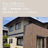 画像244