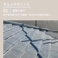 画像344