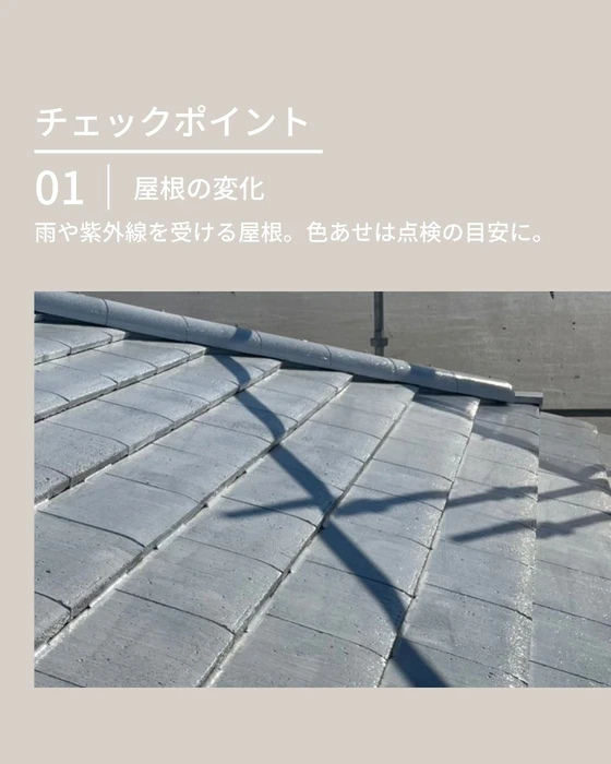 画像344