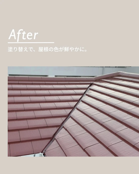 画像346