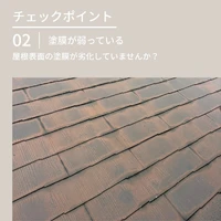 画像384